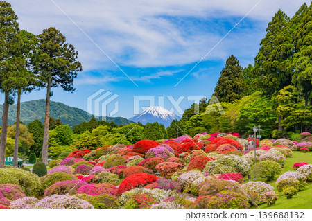 從山頂飯店美麗的杜鵑花園眺望富士山(神奈川縣) 從山頂飯店美麗的杜鵑花園眺望富士山(神奈川縣) 139688132