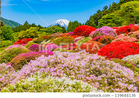 Mount Fuji as seen from the beautiful azalea garden of the mountain hotel (Kanagawa Prefecture) 139688136