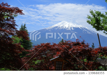 新倉富士淺間神社 新倉富士淺間神社 139688355