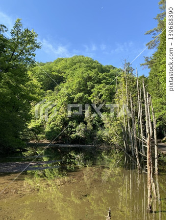 擁有水岸風光和鬱鬱蔥蔥的日本自然景觀。 擁有水岸風光和鬱鬱蔥蔥的日本自然景觀。 139688390