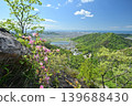 Rhododendron mucronatum on Takanosu Mountain 139688430