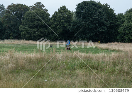 Person walks energetic dogs through a rainy meadow with playful movement, outdoor exercise, and natural countryside scenery. Person walks energetic dogs through a rainy meadow with playful movement, outdoor exercise, and natural countryside scenery. 139688479