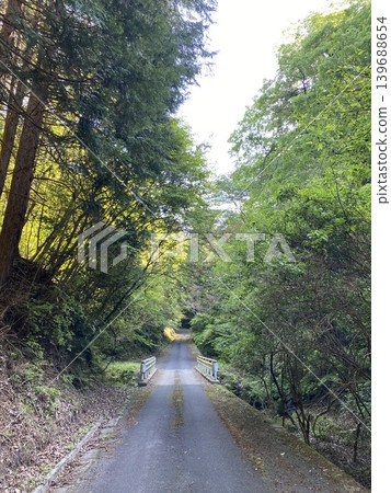 日本的自然景觀:一條道路和幾座橋樑掩映在森林之中。 日本的自然景觀:一條道路和幾座橋樑掩映在森林之中。 139688654