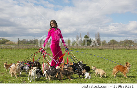 woman with chihuahua woman with chihuahua 139689181