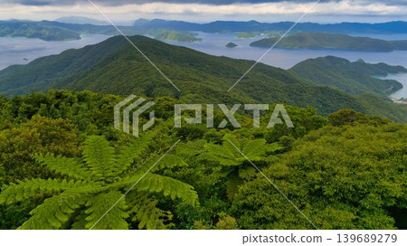 從高知山展望台看到的景色 從高知山展望台看到的景色 139689279