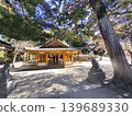 神社建築和守護獅犬矗立在陽光普照的庭院中。 139689330