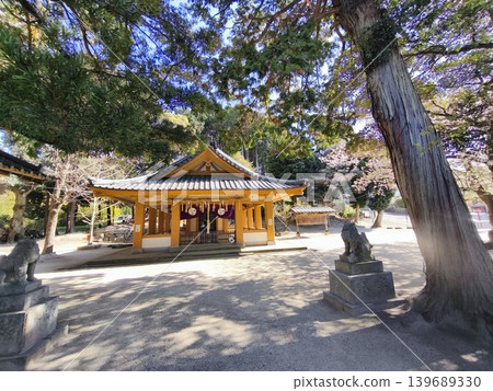 神社建築和守護獅犬矗立在陽光普照的庭院中。 139689330