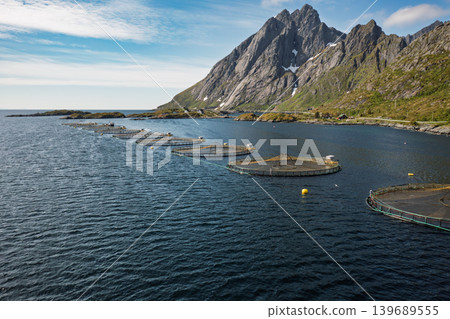 Farm salmon fishing in Norway. Norway is the biggest producer of farmed salmon in the world. 139689555