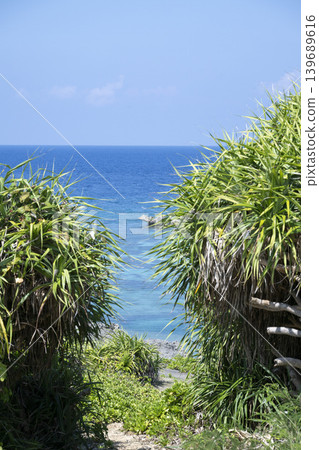 To the beach To the beach 139689616