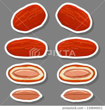 Illustration on theme different types of date fruit for healthy life 139690051