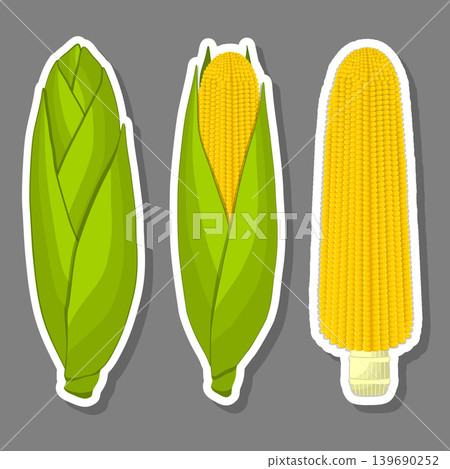Sweet juicy tasty natural eco product corn Sweet juicy tasty natural eco product corn 139690252