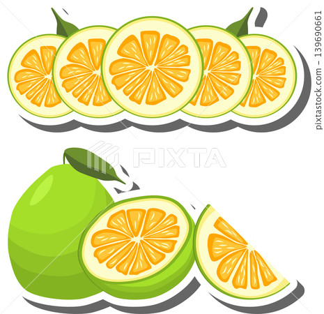 Fruit theme from set juicy delicious pomelo of various sizes Fruit theme from set juicy delicious pomelo of various sizes 139690661
