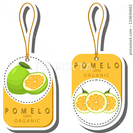 Fruit theme from set juicy delicious pomelo of various sizes 139690662