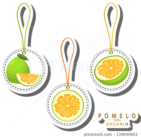 Fruit theme from set juicy delicious pomelo of various sizes Fruit theme from set juicy delicious pomelo of various sizes 139690663