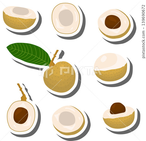 Fruit theme from set juicy delicious longan of various sizes Fruit theme from set juicy delicious longan of various sizes 139690672
