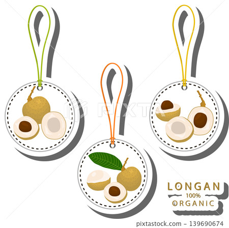 Fruit theme from set juicy delicious longan of various sizes Fruit theme from set juicy delicious longan of various sizes 139690674