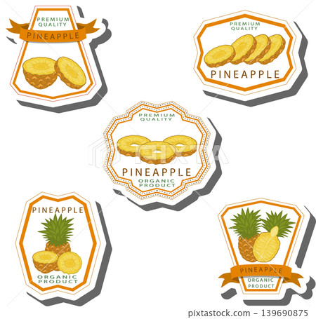 Fruit theme from set juicy delicious pineapple of various sizes Fruit theme from set juicy delicious pineapple of various sizes 139690875