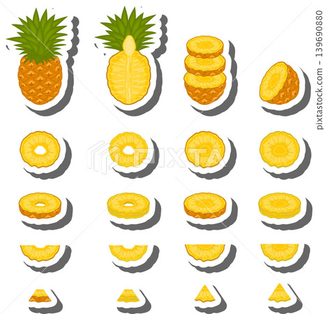 Fruit theme from set juicy delicious pineapple of various sizes Fruit theme from set juicy delicious pineapple of various sizes 139690880