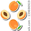 Fruit theme from set juicy delicious apricot of various sizes Fruit theme from set juicy delicious apricot of various sizes 139690919