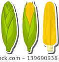 Fruit theme from set juicy delicious corn of various sizes Fruit theme from set juicy delicious corn of various sizes 139690938