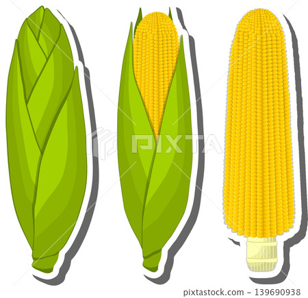 Fruit theme from set juicy delicious corn of various sizes Fruit theme from set juicy delicious corn of various sizes 139690938