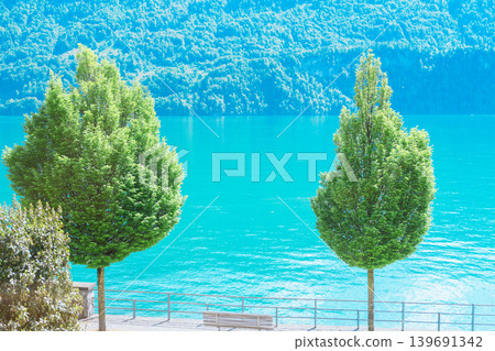 布里恩茨湖的壯麗景色 布里恩茨湖的壯麗景色 139691342