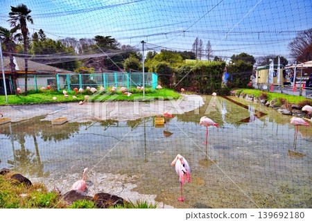 東武動物園景色 東武動物園景色 139692180