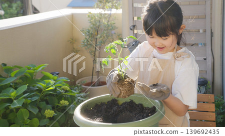 Children planting vegetable seedlings (gardening/gardening) Children planting vegetable seedlings (gardening/gardening) 139692435