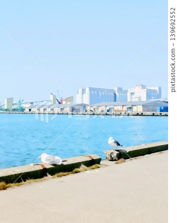 Seagulls perched in a port in Hokkaido; a sunny port area and seagulls. Seagulls perched in a port in Hokkaido; a sunny port area and seagulls. 139692552