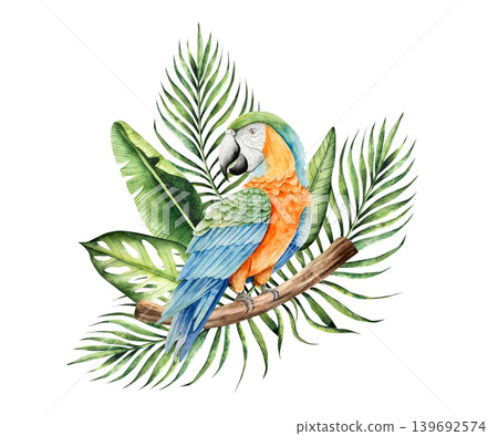 Parrot macaw sits on a branch in the leaves of a palm tree, monstera. Watercolor hand drawn bird, isolated illustration on transparent background. Perfect for tropical design projects. For designers 139692574
