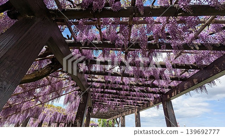Kyoto City Toba Water Environment Conservation Center "Toba Wisteria" Kyoto City Toba Water Environment Conservation Center "Toba Wisteria" 139692777