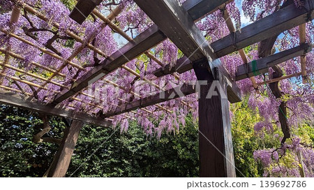 Kyoto City Toba Water Environment Conservation Center "Toba Wisteria" Kyoto City Toba Water Environment Conservation Center "Toba Wisteria" 139692786