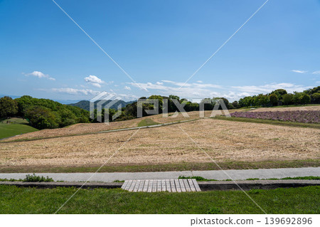 Hyogo Prefectural Park Awaji Hanasajiki Hyogo Prefectural Park Awaji Hanasajiki 139692896
