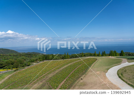 Hyogo Prefectural Park Awaji Hanasajiki 139692945