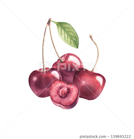 Cherries with leaf watercolor illustration isolated on white background. Hand drawn berries in vibrant colors Cherries with leaf watercolor illustration isolated on white background. Hand drawn berries in vibrant colors 139693222