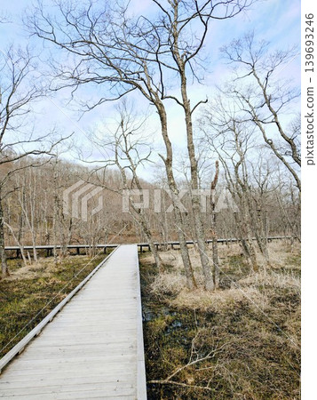 Enjoy the refreshing early spring breeze and the open scenery of the boardwalk through the wetlands. Enjoy the refreshing early spring breeze and the open scenery of the boardwalk through the wetlands. 139693246