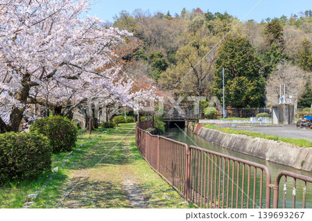 Springtime scenery of the Lake Biwa Canal (Yamashina Canal) and cherry blossoms in Kyoto: East entrance of the Third Tunnel Springtime scenery of the Lake Biwa Canal (Yamashina Canal) and cherry blossoms in Kyoto: East entrance of the Third Tunnel 139693267