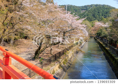 Springtime views of the Lake Biwa Canal (Yamashina Canal) and cherry blossoms in Kyoto, from the Shocho Bridge. Springtime views of the Lake Biwa Canal (Yamashina Canal) and cherry blossoms in Kyoto, from the Shocho Bridge. 139693309