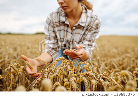 A woman agronomist studies the golden harvest of wheat on an agricultural field. Agriculture. A woman agronomist studies the golden harvest of wheat on an agricultural field. Agriculture. 139693370