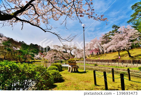 新潟縣長岡市雪久山公園的櫻花 新潟縣長岡市雪久山公園的櫻花 139693473