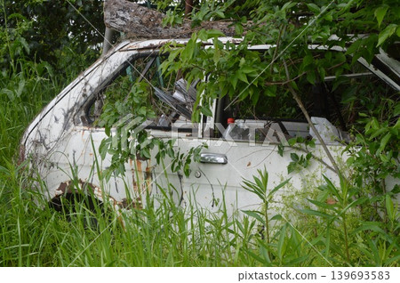 Abandoned car swallowed up by nature 139693583