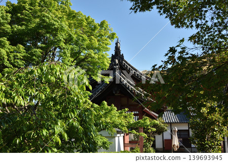 晴朗日子裡的萬福寺;從側面看到的正門(京都府宇治市) 晴朗日子裡的萬福寺;從側面看到的正門(京都府宇治市) 139693945