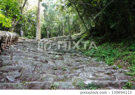 A mystical forest path with moss-covered stone steps. 139694113