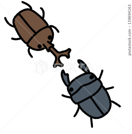 Beetles and stag beetles 139694163