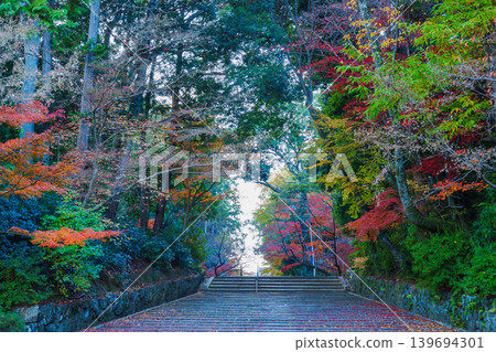 Komyoji Temple surrounded by autumn leaves Komyoji Temple surrounded by autumn leaves 139694301