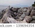 Driftwood launched to the coast 139694354