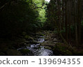 A stream bathed in dappled sunlight. 139694355