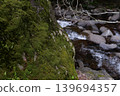 Mossy rocks and clear stream 139694357