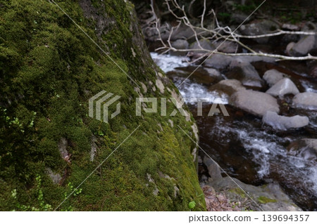 Mossy rocks and clear stream 139694357