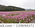 Autumn cherry field 139694371